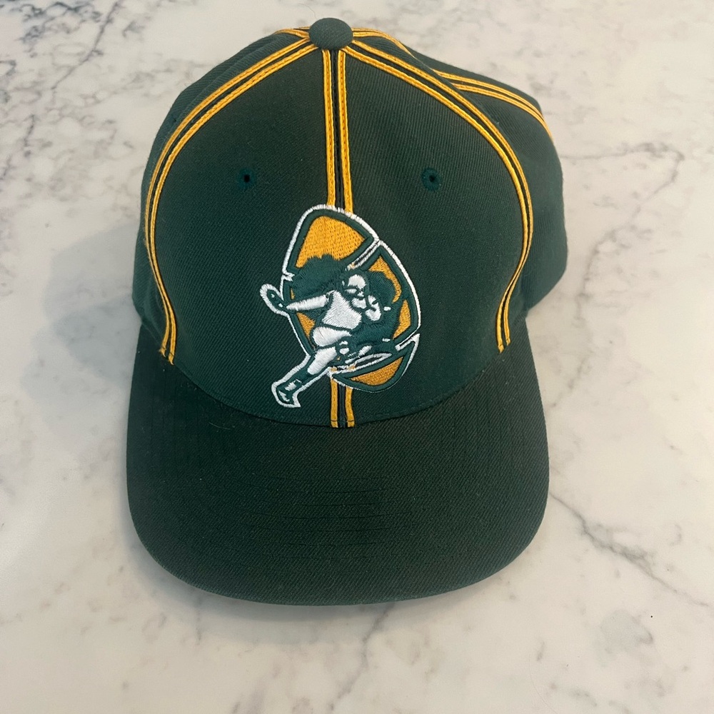 Green Bay Packers Mitchell & Ness NFL Vintage Collection Snapback Hat Cap